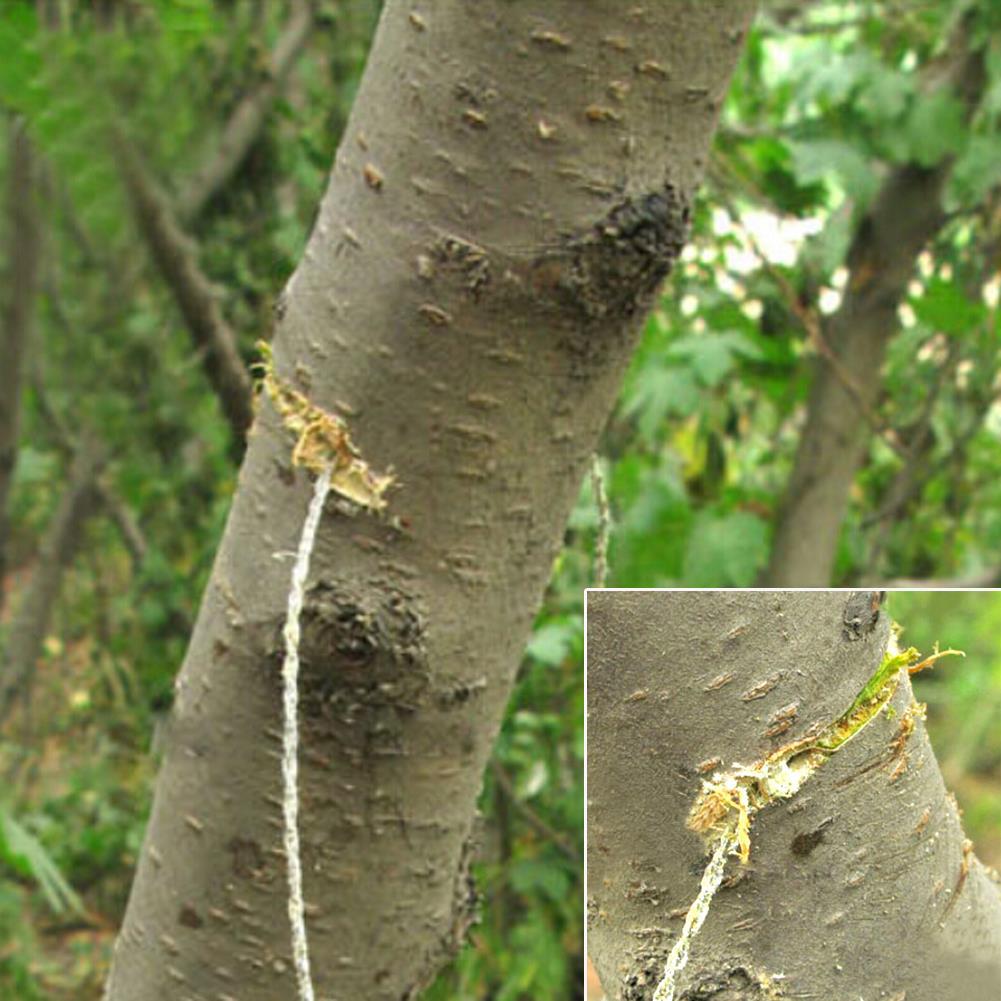 Manual Cutting Chain Saw With Handle Wire Rope Practical